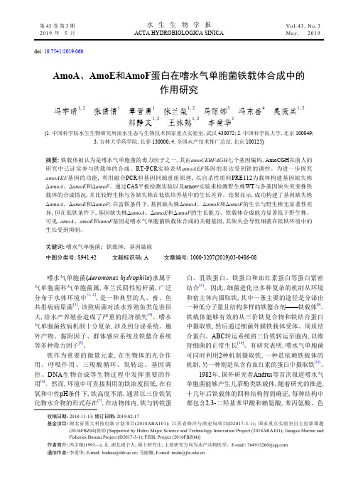 AmoA、AmoE和AmoF蛋白在嗜水气单胞菌铁载体合成中的作用研究