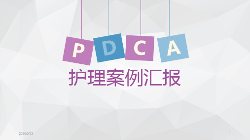 骨科PDCAPPT演示课件