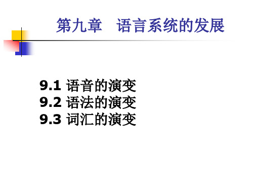 语言学 第九章