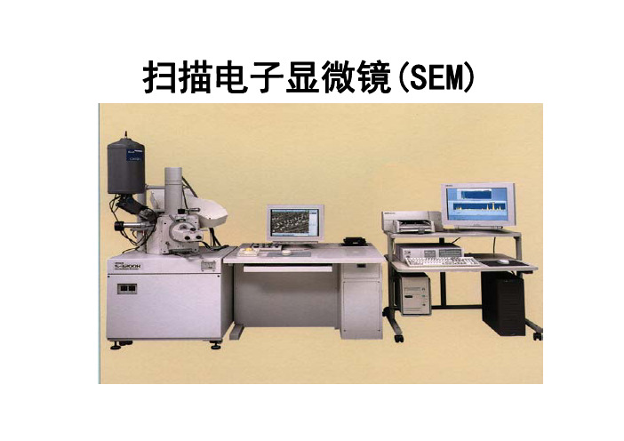 材料现代分析测试-SEM