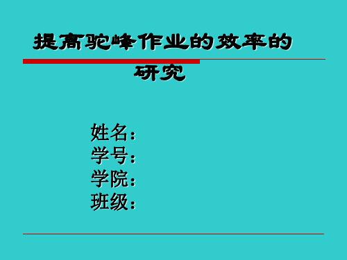 提高驼峰作业的效率 演示文稿