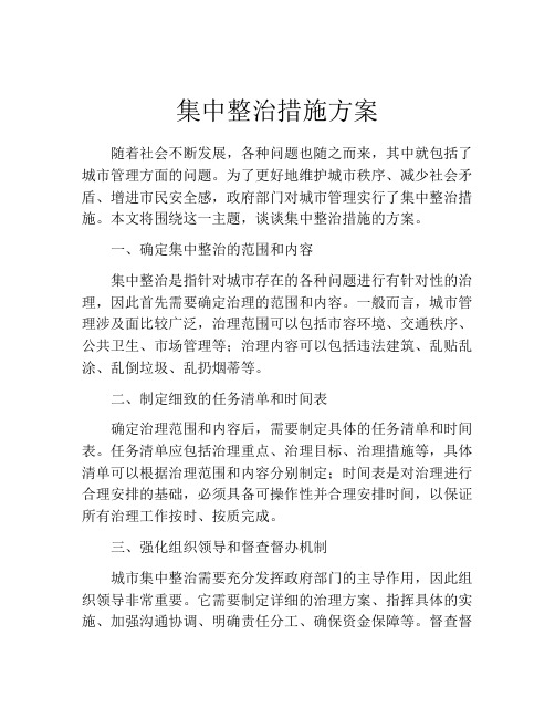 集中整治措施方案