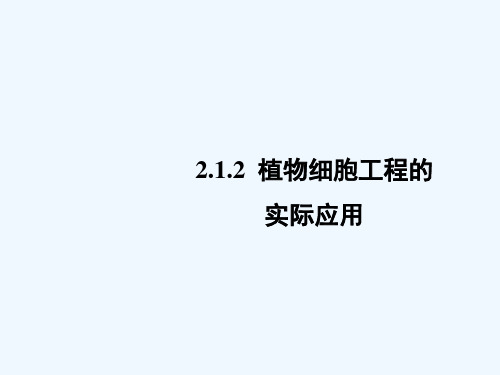 2020_2021学年高中生物专题2细胞工程1.2植物细胞工程的实际应用课件3新人教版选修3