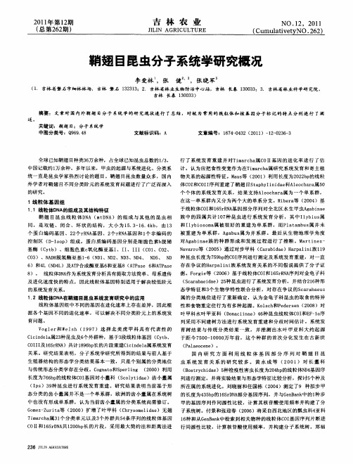 鞘翅目昆虫分子系统学研究概况