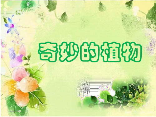 小学一年级识字——奇妙的植物PPT课件