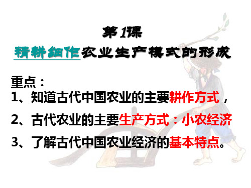 第一课精耕细作农业生产模式的形成