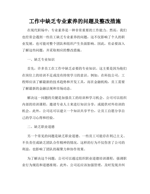 工作中缺乏专业素养的问题及整改措施