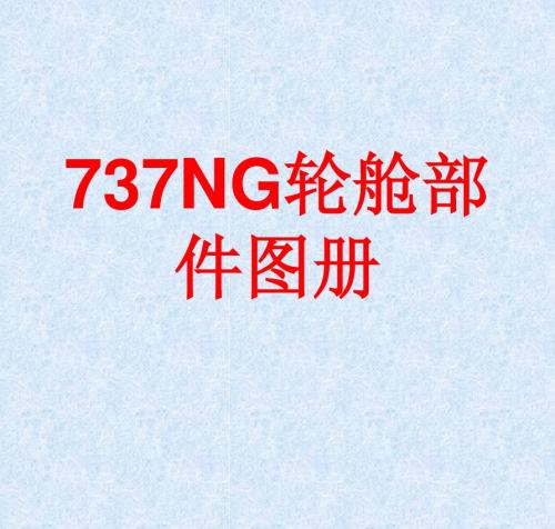 737NG轮舱部件图册