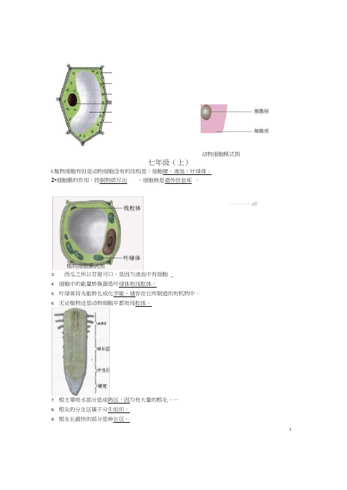 (完整word版)生地会考复习资料：初中生物图集(附题目)(人教版)