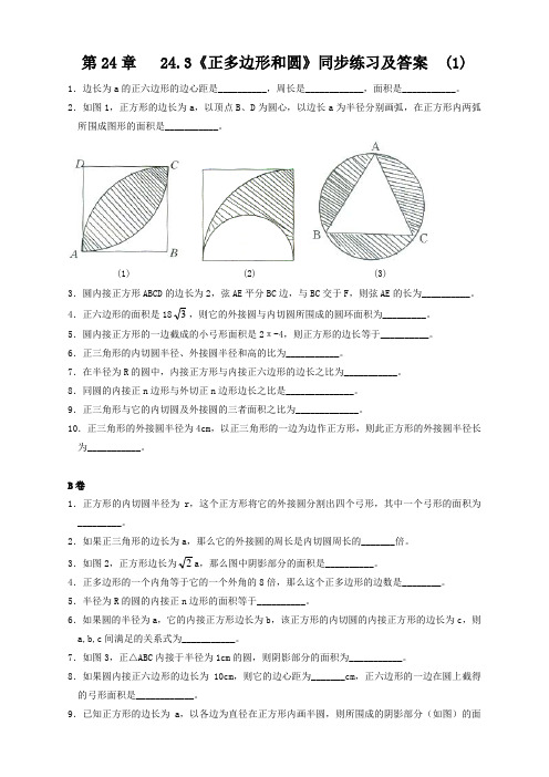 人教版九年级数学上册24.3 正多边形和圆同步练习含答案【精】