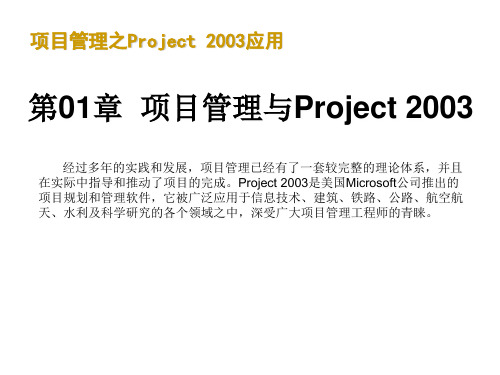 项目管理之Project 2003应用