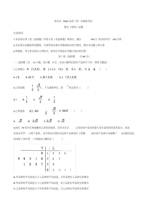 安徽省淮北市2020届高三第一次模拟考试数学理试题