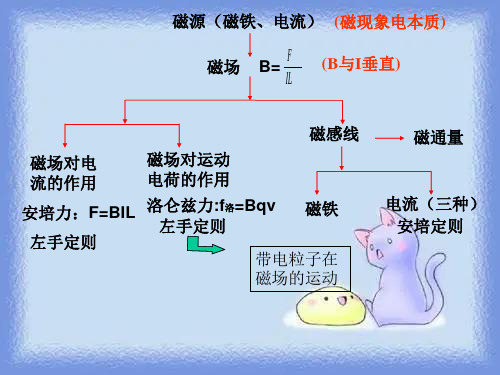 高二物理磁场复习