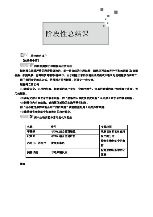 生物人教版一轮复习教案：第四单元细胞的生命历程