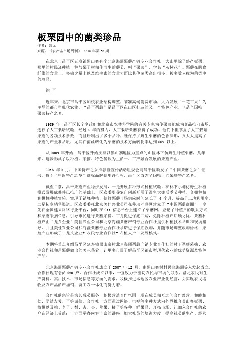 板栗园中的菌类珍品