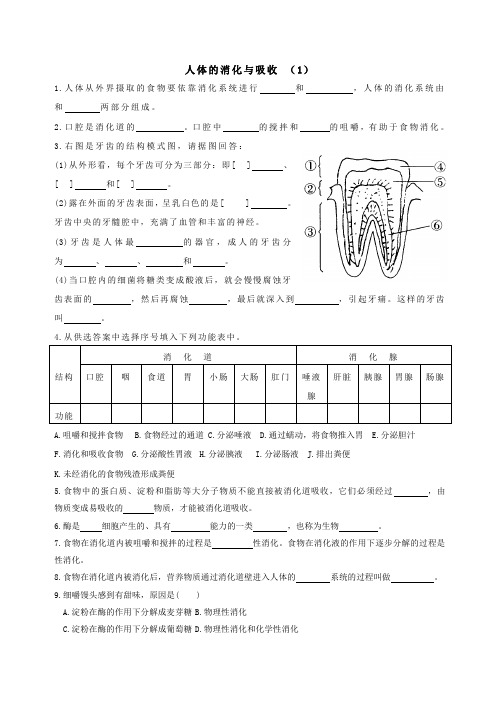 消化和吸收练习(部分中考题)