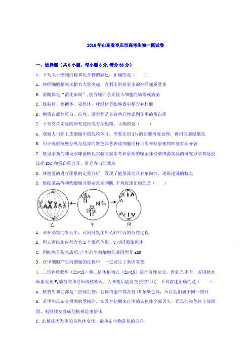 山东省枣庄市2016届高考生物一模试卷 含解析