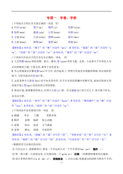 2024年部编版八年级下册语文期末复习专项一字音、字形