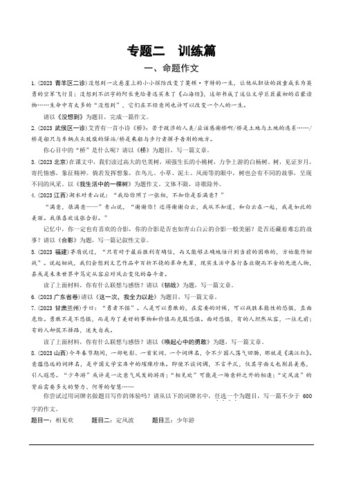 2024成都语文中考试题研究备考第四部分 作文3.专题二 训练篇