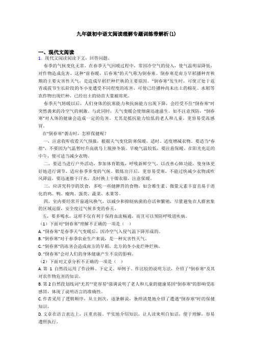 九年级初中语文阅读理解专题训练带解析(1)