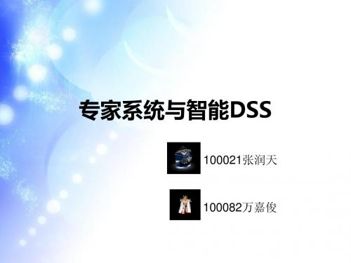 专家系统与智能DSS