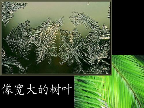 冰花 课件(苏教语文一上)