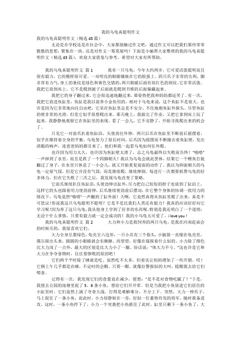 我的乌龟真聪明作文