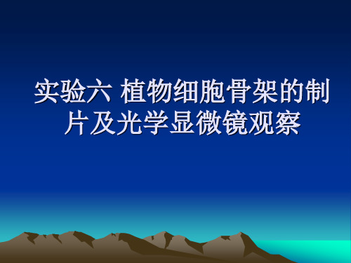 试验六植物细胞骨架的制片及光学显微镜观察