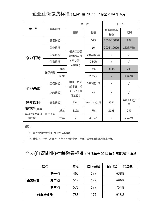 13年缴费标准