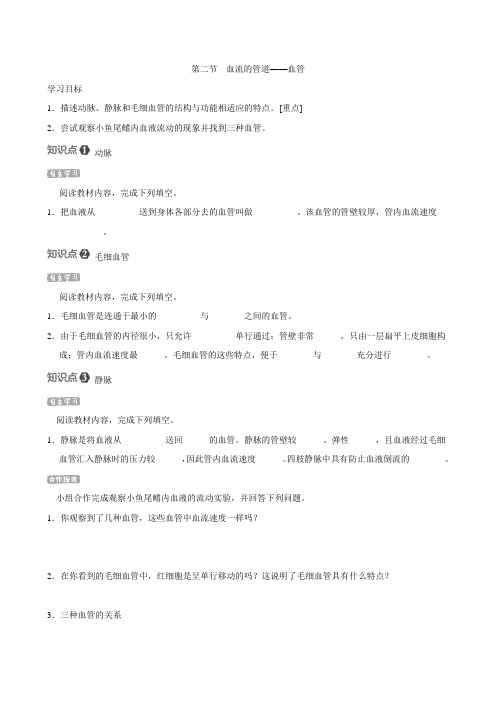 人教版生物七年级下册第四单元 第四章 第二节 血流的管道——血管 导学案(含答案)