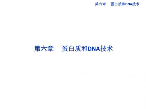 高中生物同步课件：6.1 蛋白质的提取和分离(中图版选修1)