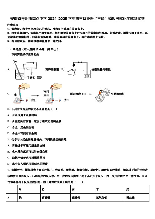 安徽省阜阳市重点中学2024-2025学年初三毕业班“三诊”模拟考试化学试题试卷含解析