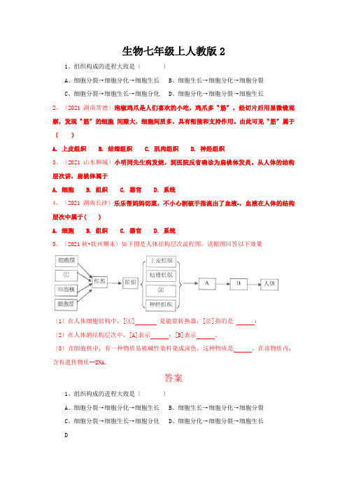 生物七年级上人教版2.2.2动物体的结构层次同步检测及答案