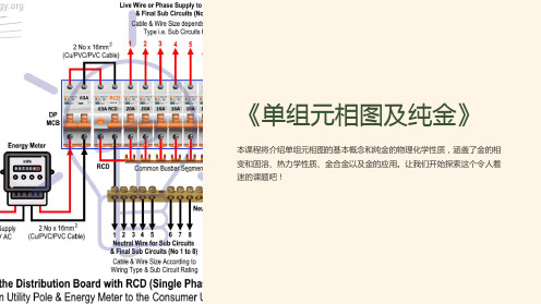 《单组元相图及纯金》课件