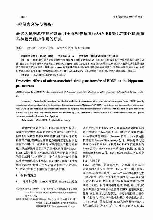 表达大鼠脑源性神经营养因子腺相关病毒(rAAV-BDNF)对体外培养海马神经元保护作用的研究