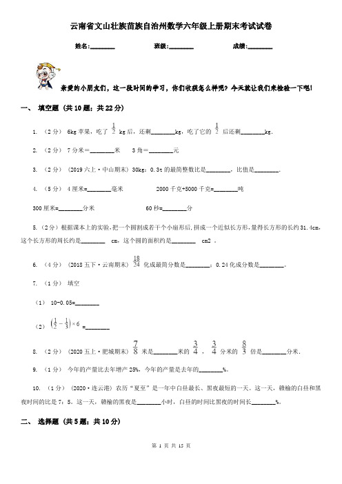 云南省文山壮族苗族自治州数学六年级上册期末考试试卷