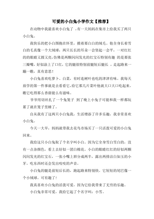可爱的小白兔小学作文(2)范文