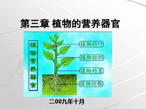 第三章植物的营养器官--根