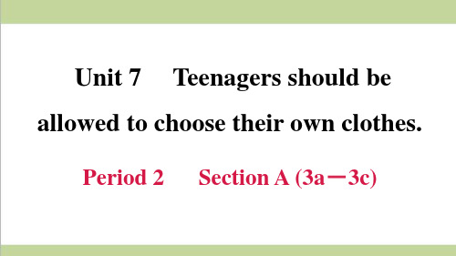 新人教版九年级(全一册)英语 Unit 7 Period 2 Section A (3a-3c) 重点习题练习复习课件
