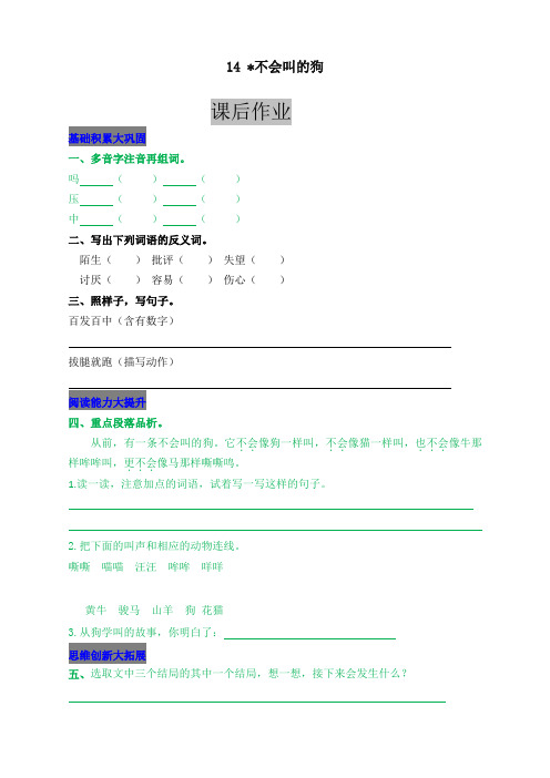 新部编版小学三年级语文上册14  不会叫的狗 课后作业及答案 (2)