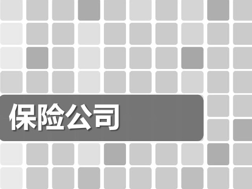 保险公司.ppt