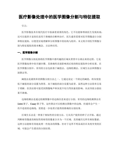 医疗影像处理中的医学图像分割与特征提取