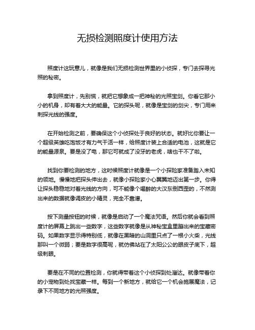 无损检测照度计使用方法