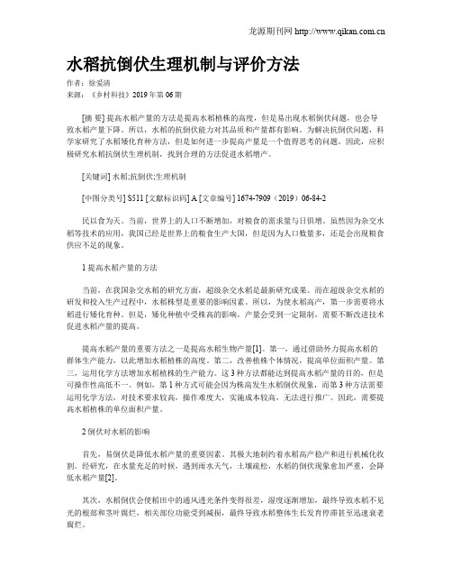 水稻抗倒伏生理机制与评价方法