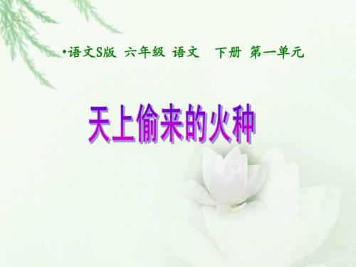s版六年级下《天上偷来的火种》课件