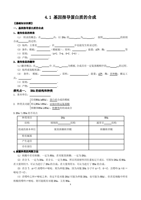 基因指导蛋白质合成教学案(教师版)