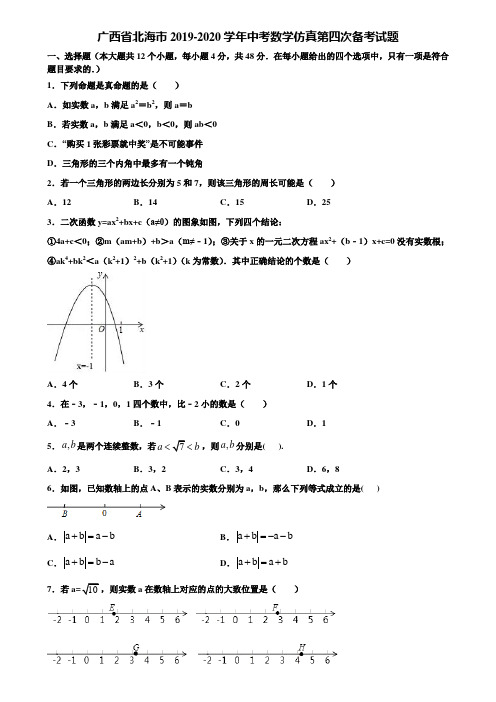 广西省北海市2019-2020学年中考数学仿真第四次备考试题含解析