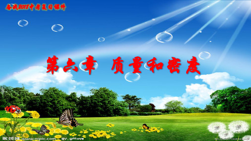 人教版初中物理九年级中考复习精品课件第六章质量和密度(共21张幻灯片)(共21张PPT)