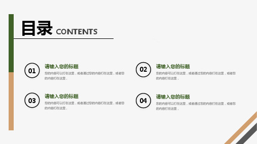 绿叶清新通用大学生暑期社会实践报告动态PPT模板