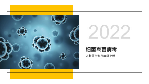 复习课件4 细菌、真菌、病毒-2022-2023学年八年级生物上学期期末总复习课件(人教版)